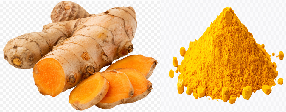 હળદર : ભારતીય રસોડાનું સુવર્ણ ઔષધ – Turmeric – Extra Ordinary Ingredient for Health